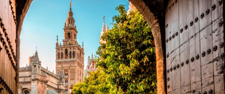 View of La Giralda tower in Seville