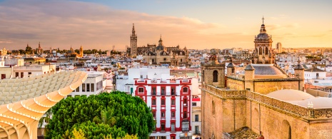 View of the Church of La Anunciación and Cathedral of Seville, Andalusia