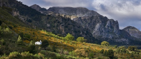 Landschaft der Sierra de las Nieves in Málaga, Andalusien