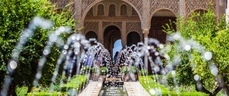 Detail of the Generalife Patio at the Alhambra, Granada