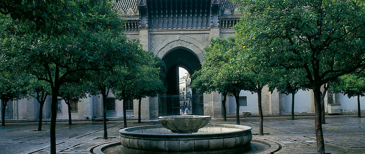 Paseo de los Naranjos, Seville 