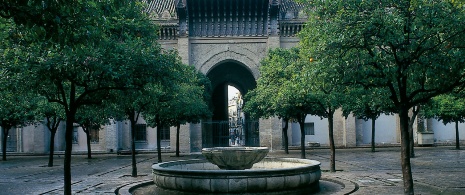 Paseo de los Naranjos, Seville 