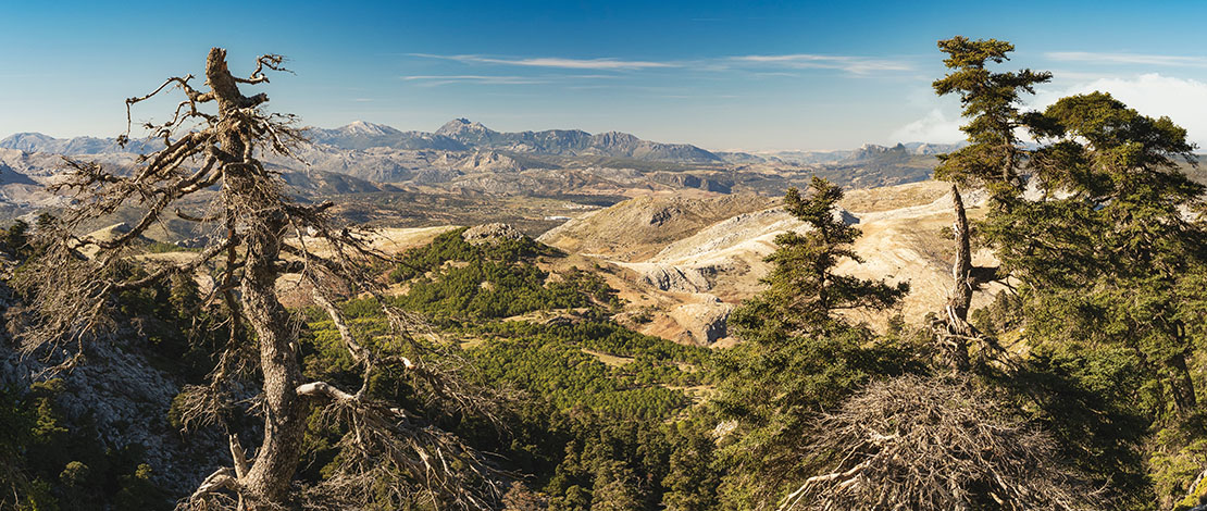 Parc naturel de la Sierra de las Nieves, Andalousie Parc naturel de la Sierra de las Nieves, Andalousie