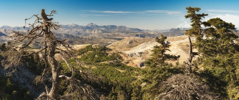 Parc naturel de la Sierra de las Nieves, Andalousie Parc naturel de la Sierra de las Nieves, Andalousie