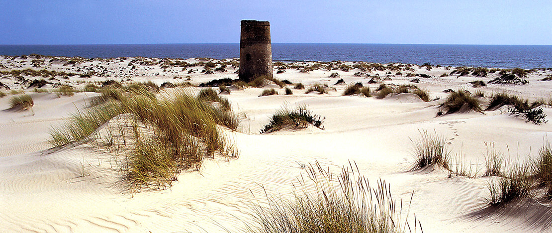 Nationalpark Doñana Nationalpark Doñana