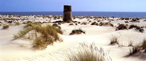Nationalpark von Doñana
