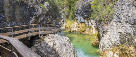 Pontes sobre o rio Borosa no Parque Natural de Cazorla (Jaén)