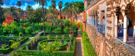 Gardens of the Real Alcázar Palace in Seville