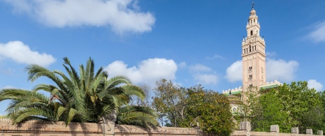 Réplica de la Giralda en l’Arboç del Penedés en Tarragona, Cataluña