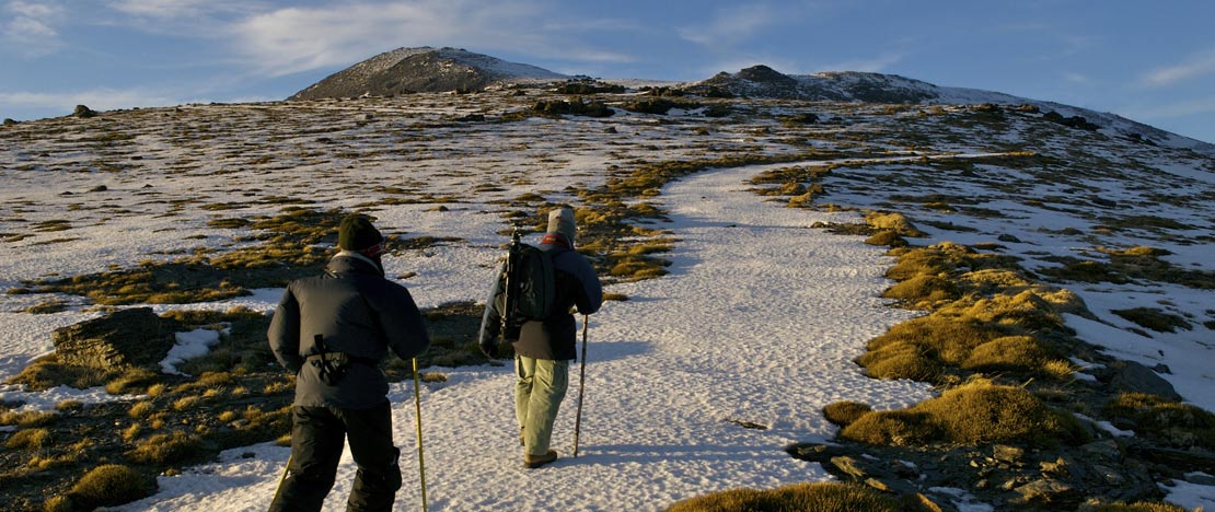 Wandern auf dem Mulhacén-Berg, Nationalpark Sierra Nevada (Granada, Andalusien) Wandern auf dem Mulhacén-Berg, Nationalpark Sierra Nevada (Granada, Andalusien)