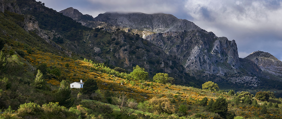 Sierra de las Nieves National Park, Malaga province Sierra de las Nieves National Park, Malaga province