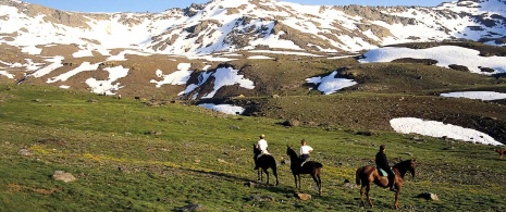 Horse-riding tourism in the Sierra Nevada National Park, Granada (Andalusia)