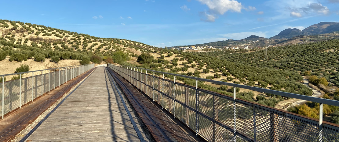 トレデルカンポのオリーブオイル緑道 トレデルカンポのオリーブオイル緑道