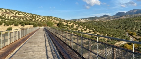 Via Verde do Azeite, em Torredelcampo