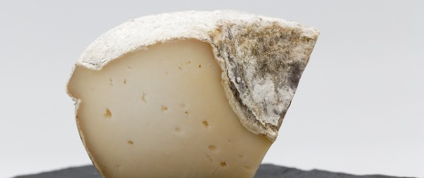 Tronchón cheese, typical of Maestrazgo