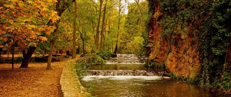 Nature in the Piedra monastery