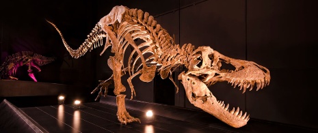 アラゴン州テルエルのディノポリスに展示されているティラノサウルス・レックス