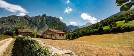 Sielski krajobraz w sercu Picos de Europa niedaleko Cabrales, Asturia