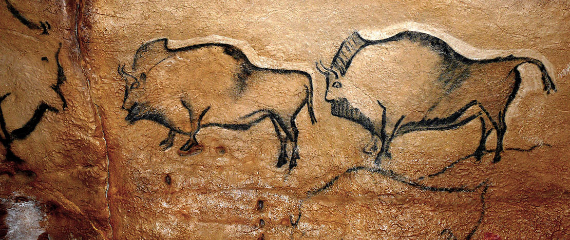 Bisonti della grotta di Covaciella Bisonti della grotta di Covaciella