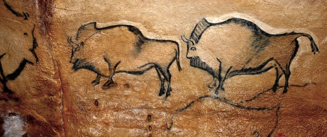 Изображения бизонов в пещере Ковасьелья