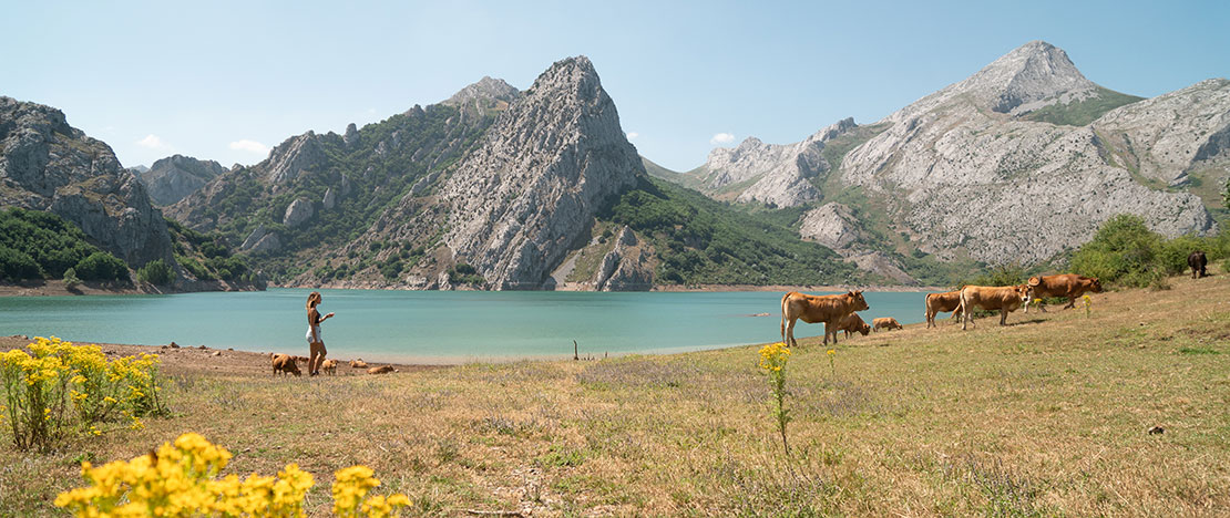 The Lakes of Covadonga in Picos de Europa National Park, Asturias  The Lakes of Covadonga in Picos de Europa National Park, Asturias