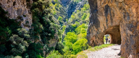 Hikers walking along the Ruta del Cares in Poncebo (Asturias)