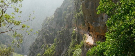 Widok pieszych wędrujących szlakiem Ruta del Cares