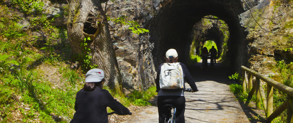 Cycle tourists passing along the bear trail in Asturias. Cycle tourists passing along the bear trail in Asturias.