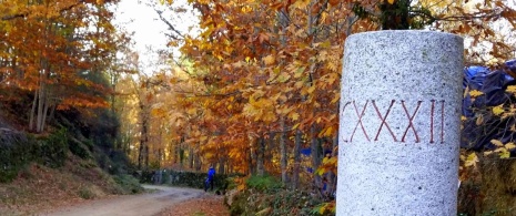 The Silver Route on its way through Asturias