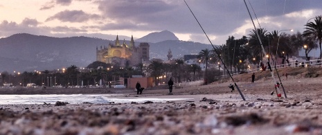 Playa de Palma, Palma de Mallorca