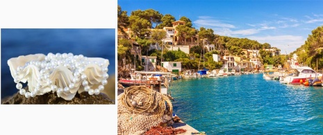 Pearls from Mallorca and Cala Figuera