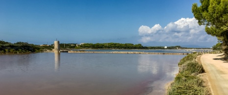 バレアレス諸島州フォルメンテーラ島のサス・サリーナス自然公園にあるアスターニュ・プーデン湖の眺望