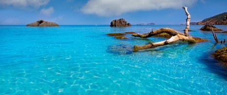 Spiaggia Aigües Blanques, Ibiza