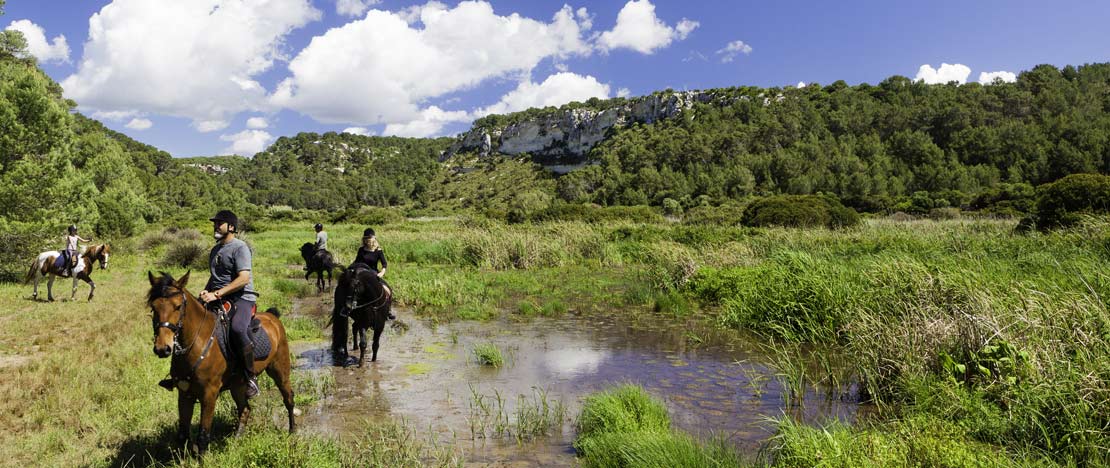 Turismo ecuestre en Menorca Turismo ecuestre en Menorca