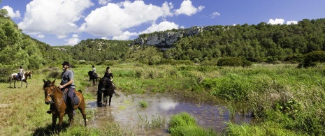 Horse riding tourism in Minorca