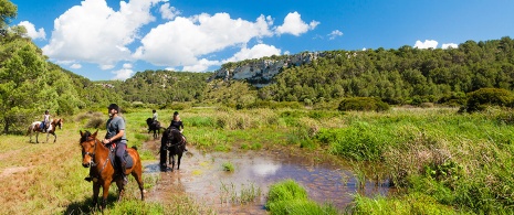 Horse riding tourism in Menorca