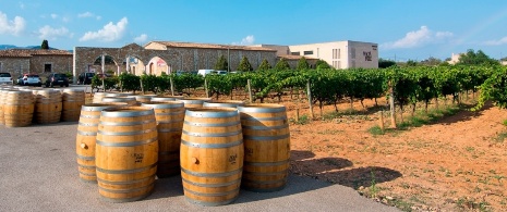 Weinkellereien mit Ursprungsbezeichnung Binissalem, Mallorca