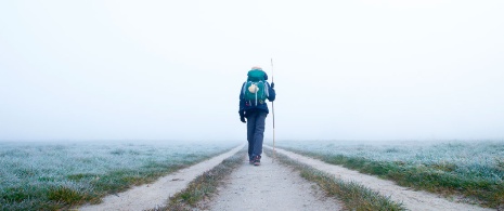 Peregrino en el Camino de Santiago