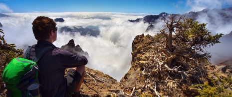 Senderismo en el Parque Nacional de la Caldera de Taburiente