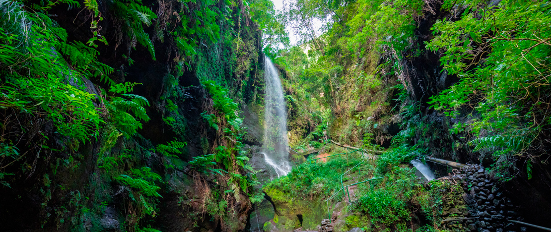 Wasserfälle an den Quellen des Marcos und Cordero im Bosque de Los Tilos auf La Palma, Kanarische Inseln Wasserfälle an den Quellen des Marcos und Cordero im Bosque de Los Tilos auf La Palma, Kanarische Inseln