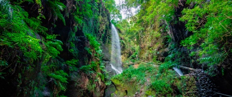 Detail of waterfalls at the Marcos y Cordero springs in Los Tilos forest on La Palma, Canary Islands