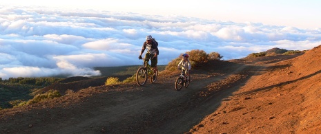 Bicicleta de montaña