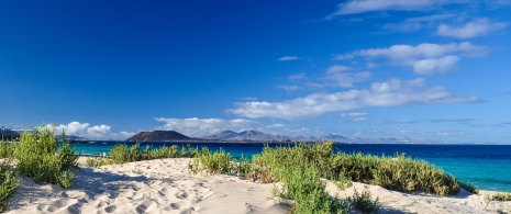 Blick auf die Dünen von Corralejo auf Fuerteventura, Kanarische Inseln