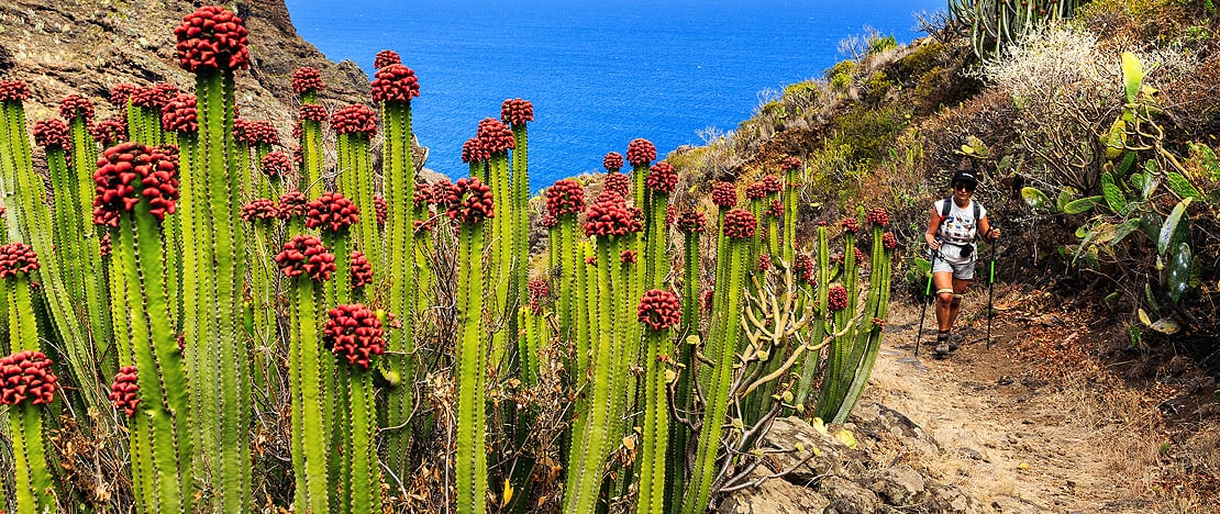Praticante de trekking em Cardones de La Palma, Ilhas Canárias