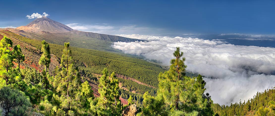 Le Teide d'un point situé près du belvédère de Chipeque, Tenerife  Le Teide d'un point situé près du belvédère de Chipeque, Tenerife