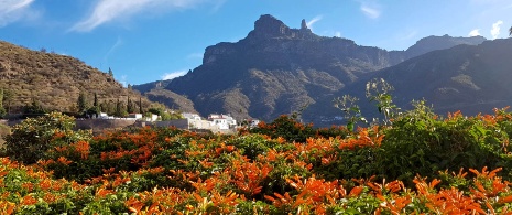 Vue du Roque Nublo à Tejeda, Grande Canarie