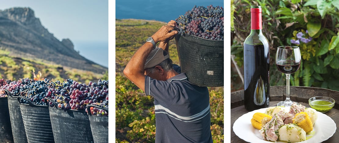 Immagini della vendemmia e del vino a La Palma, isole Canarie Immagini della vendemmia e del vino a La Palma, isole Canarie