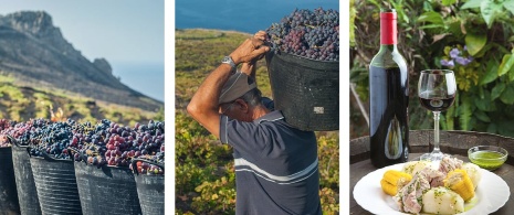 Zdjęcia z winobrania oraz wino na La Palmie, Wyspy Kanaryjskie