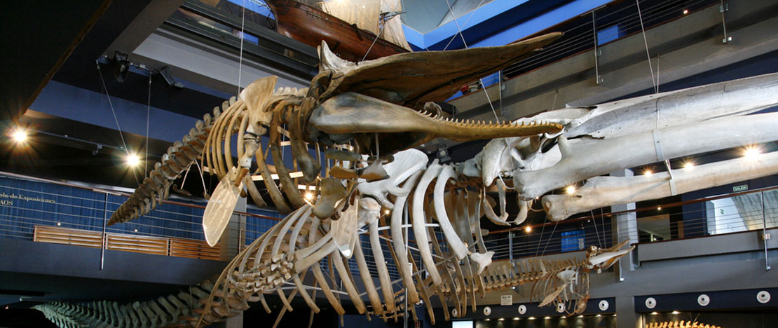 Cantabrian Maritime Museum  Cantabrian Maritime Museum