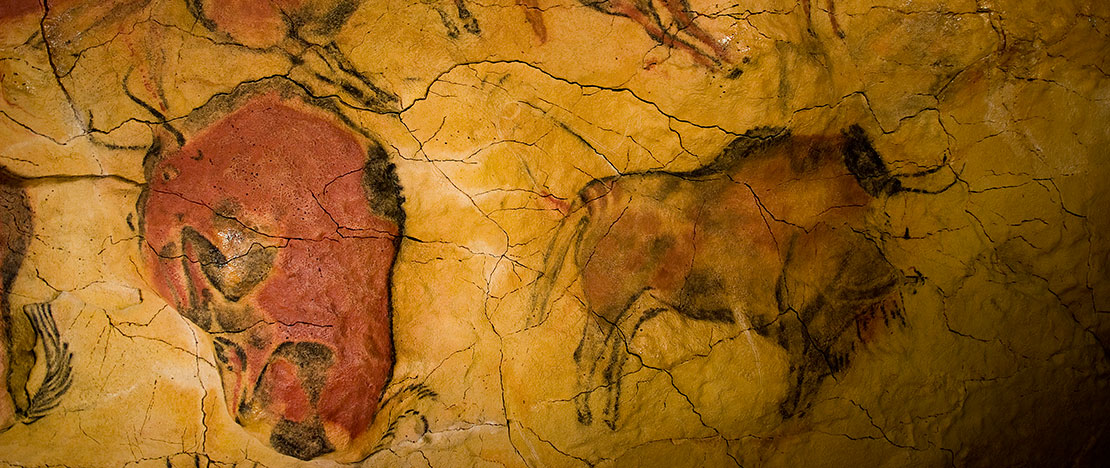 Riproduzione di bisonti nel Museo di Altamira, Santilla del Mar